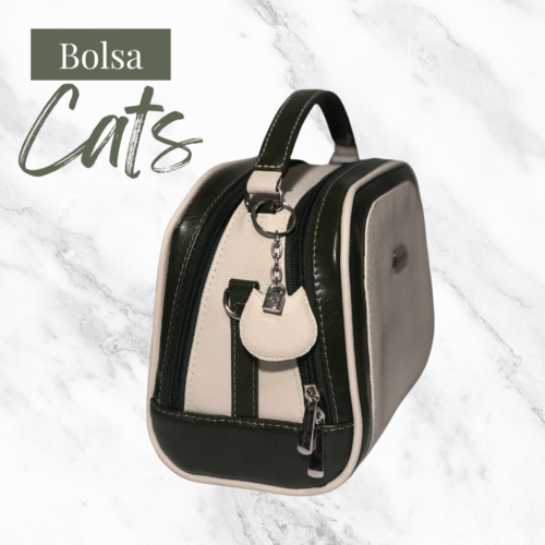 Curso Bolsa Cats